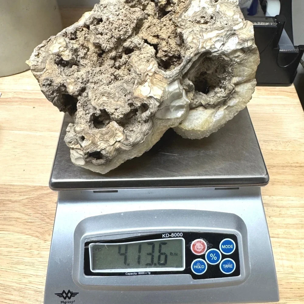 Natural Botryoidal Druzy Quartz Crystal Cluster Specimen Geode 5.5x6.5 Inch